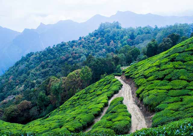 Katra to Jawala Ji Cab Hire Booking